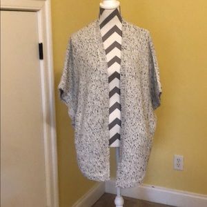 White and Warren Shrug